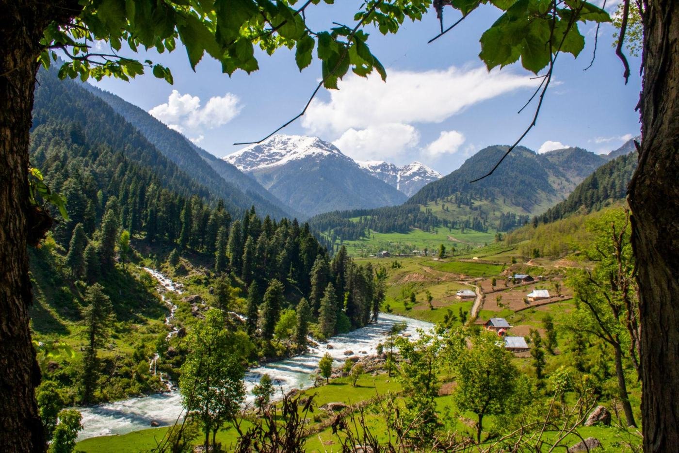 Pahalgam valley