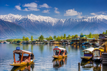 Shikara boats on Dal Lake in Srinagar