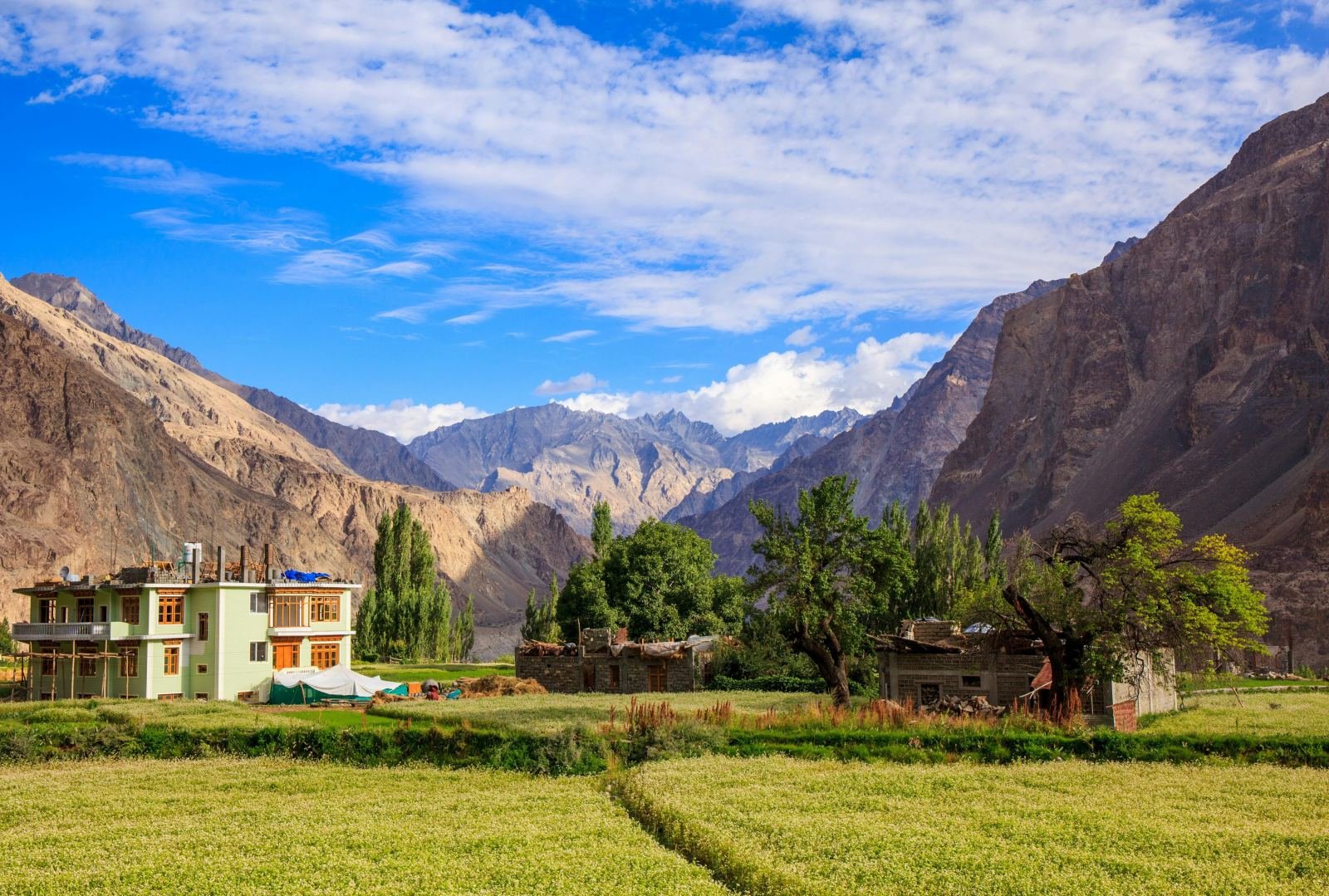 Fields and guesthouse at Turtuk village, Ladakh