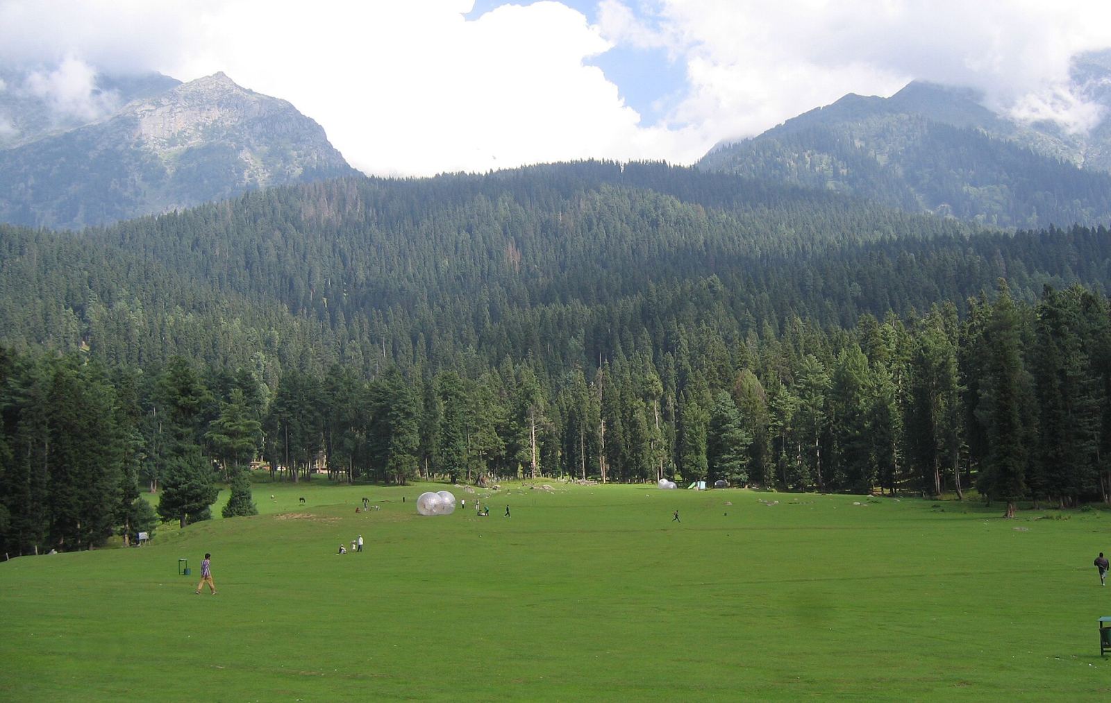 Baisaran meadow ringed by pine forest above Pahalgam
