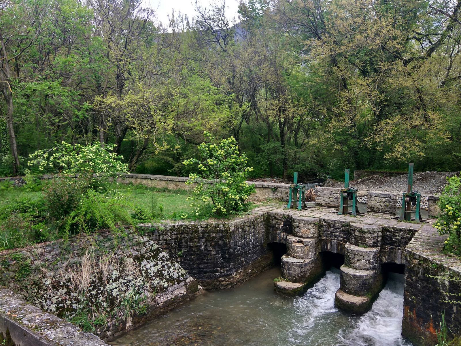 Stream in the forest at Dachigam National Park