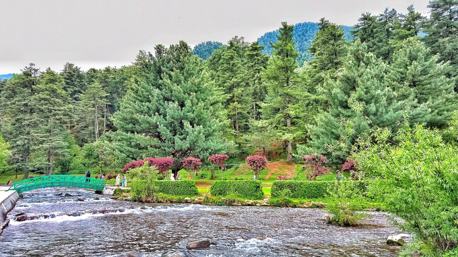 Stream and gardens at Kokernag