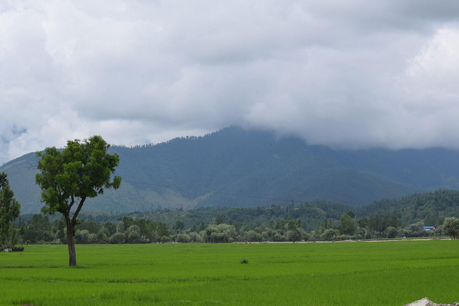 Green fields and forested hills in Lolab Valley