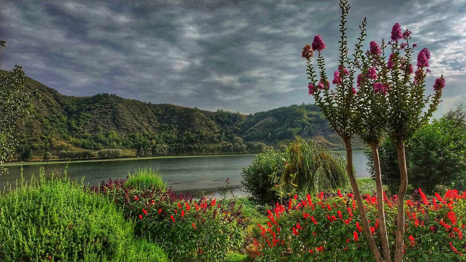 Manasbal Lake seen from its lakeside garden