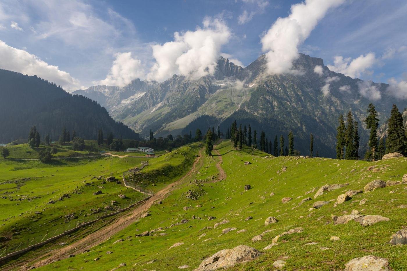 Meadows of Sonamarg