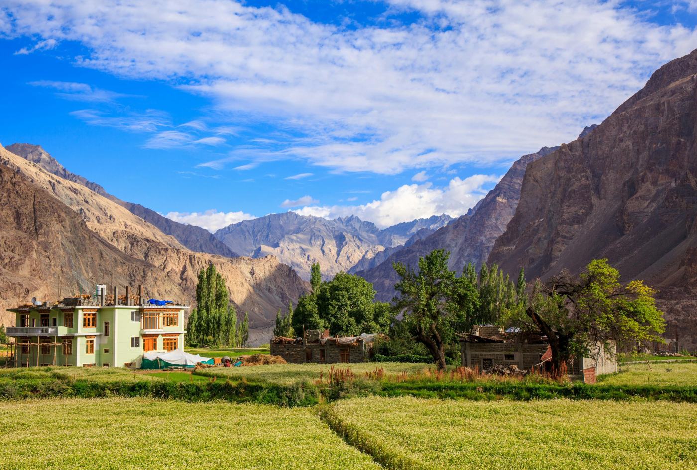Fields at Turtuk
