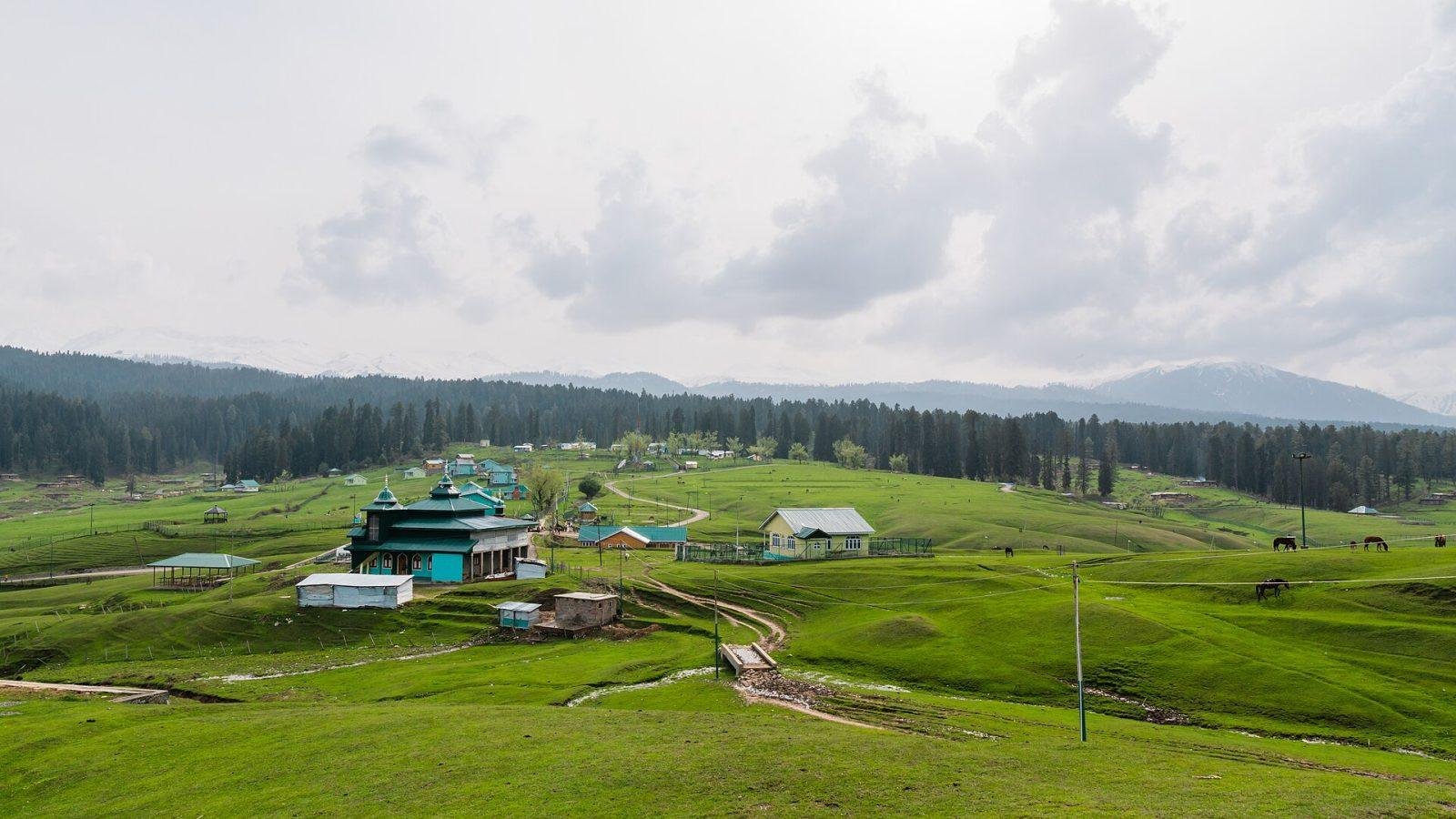 Meadow and huts at Yusmarg in Kashmir