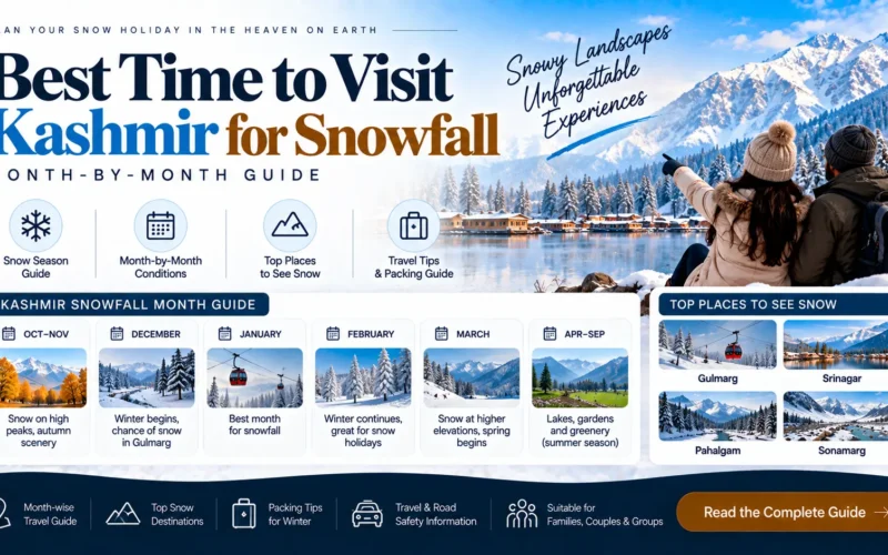 Best Time to Visit Kashmir for Snowfall: Month-by-Month Guide